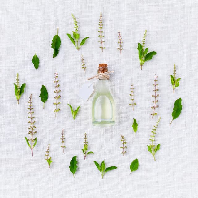Grandma's Bush Medicine e-book cover