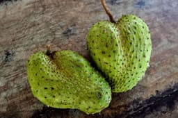 Jamaican herb